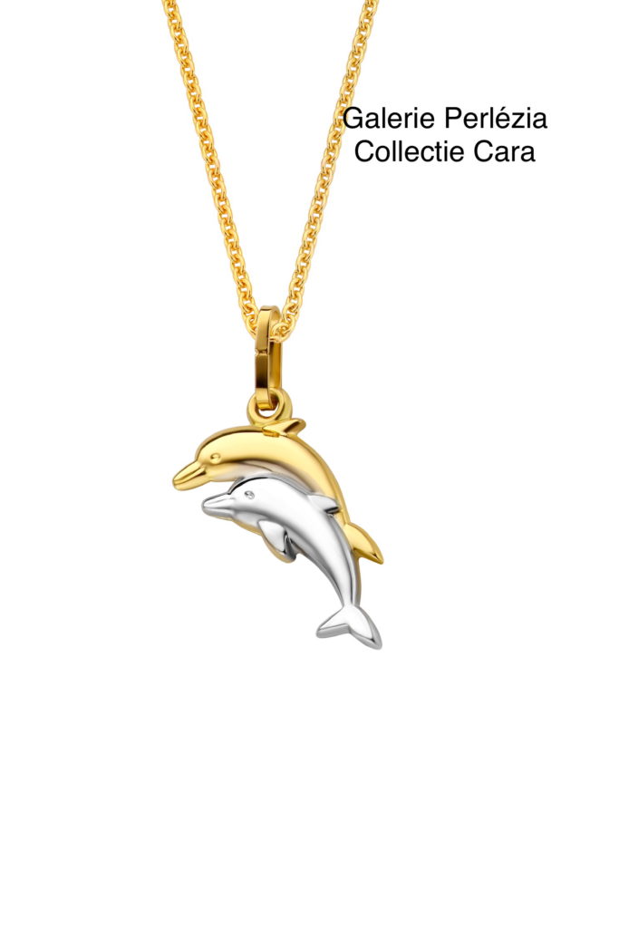 Hanger goud 18 karaat dolfijn